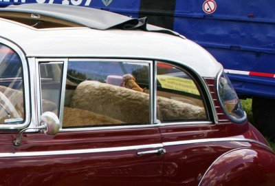 bildergalerie image 2