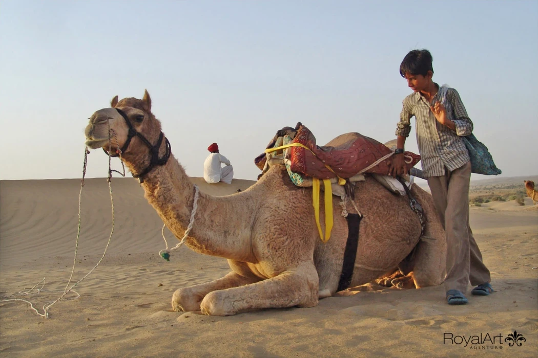 Das ist der SEO - title