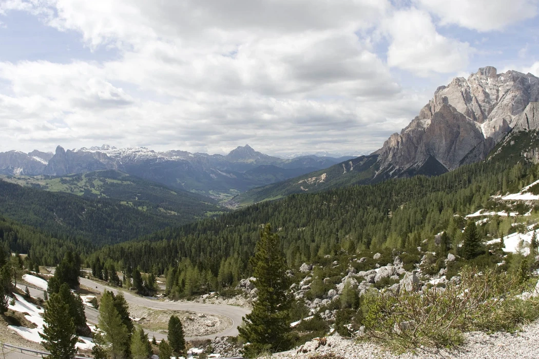 Das ist der SEO - title